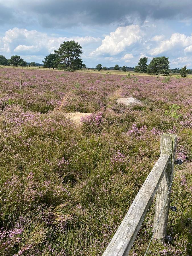 In Der Lueneburger Heide * Bispingen