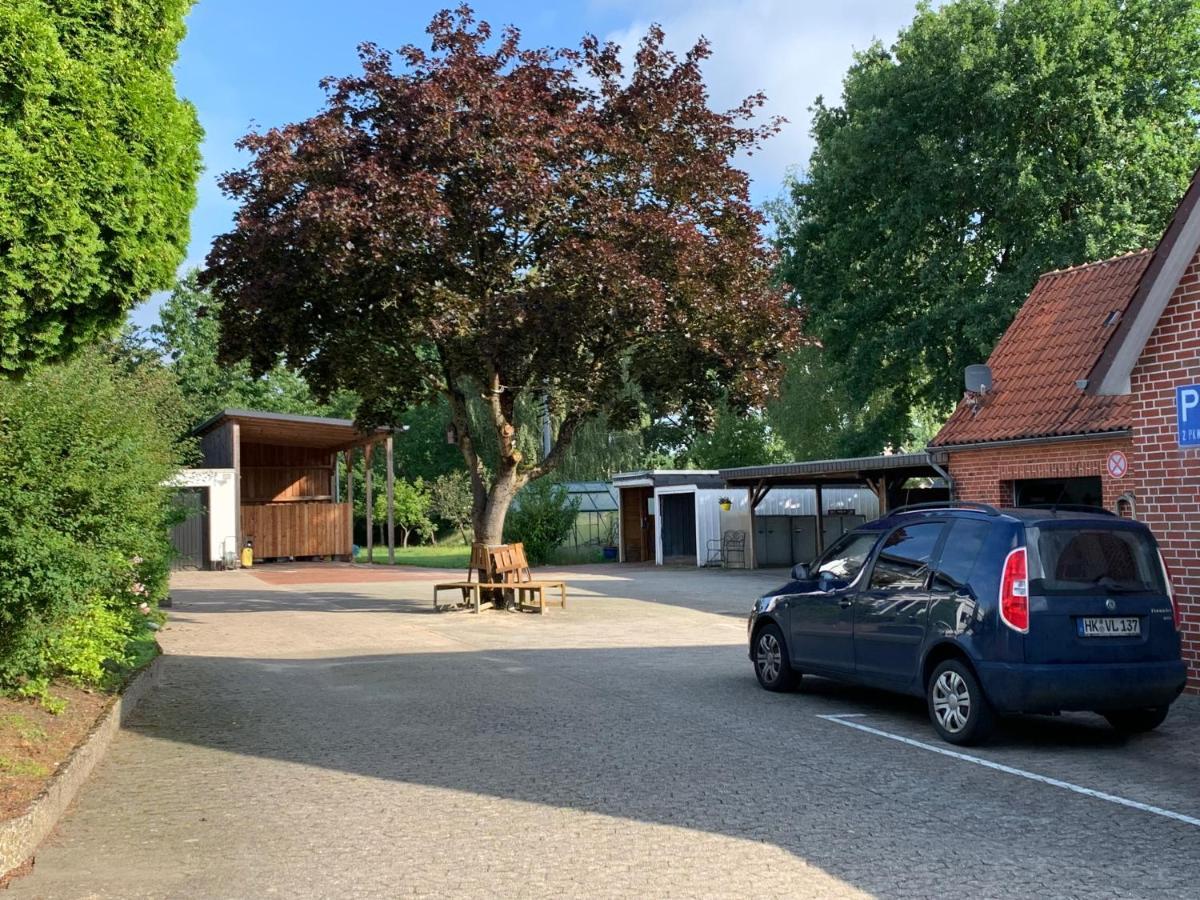 In Der Lueneburger Heide *